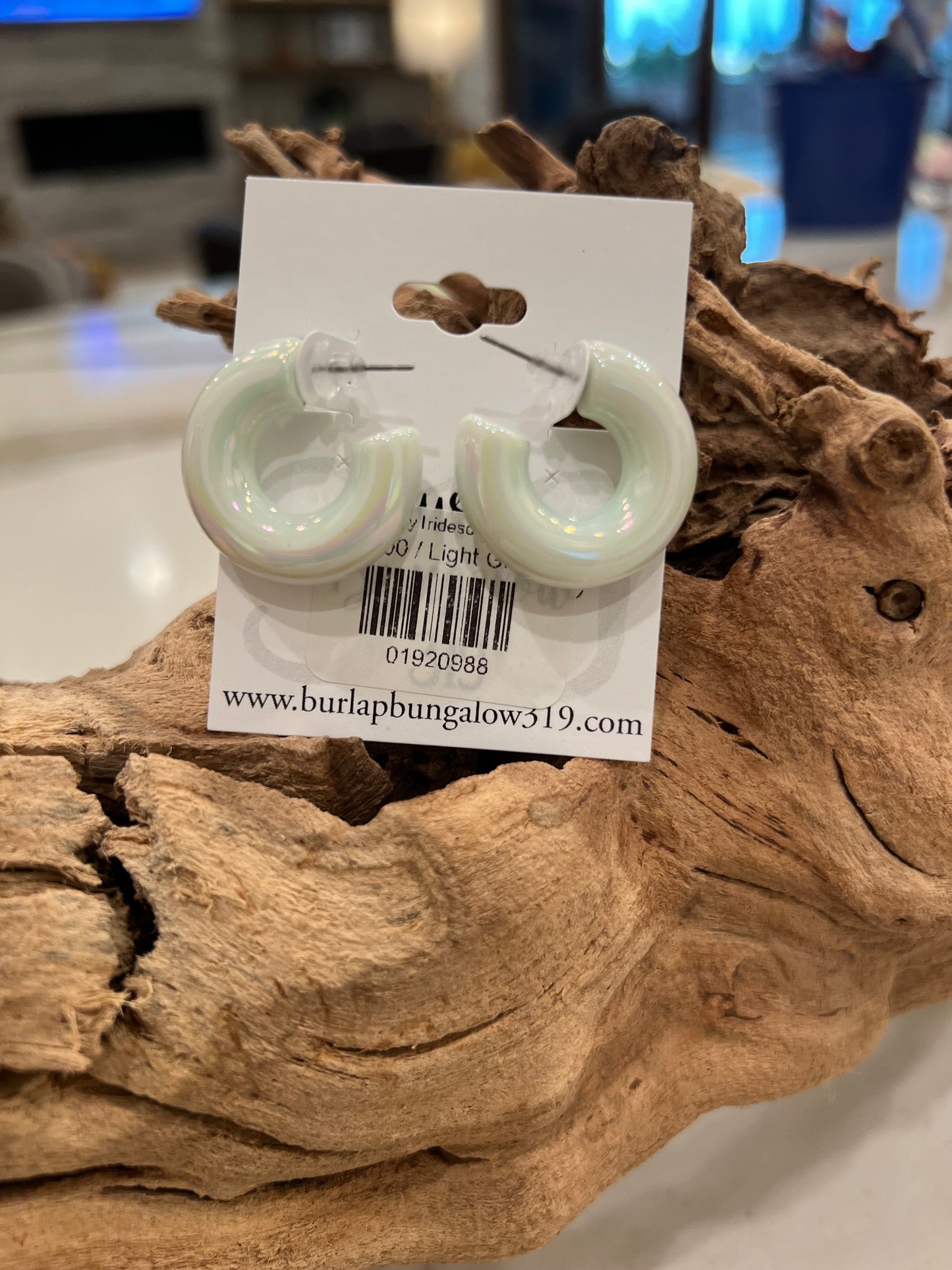 Chubby Iridescent Hoop Earrings