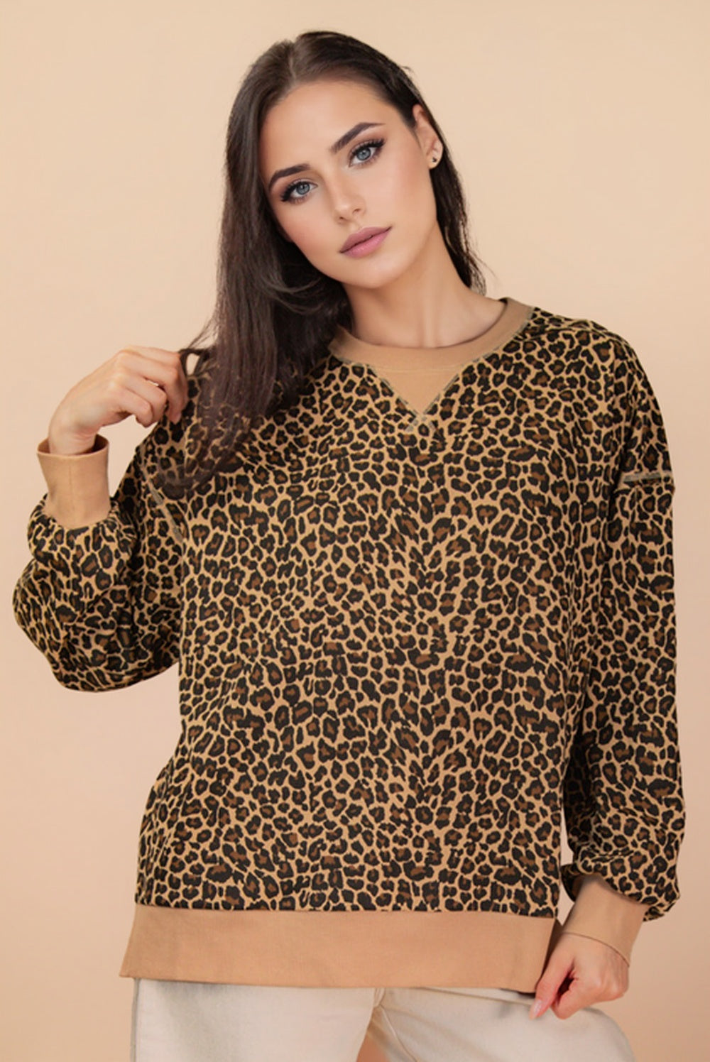 Beige Leopard Long Sleeve Sweatshirt Top