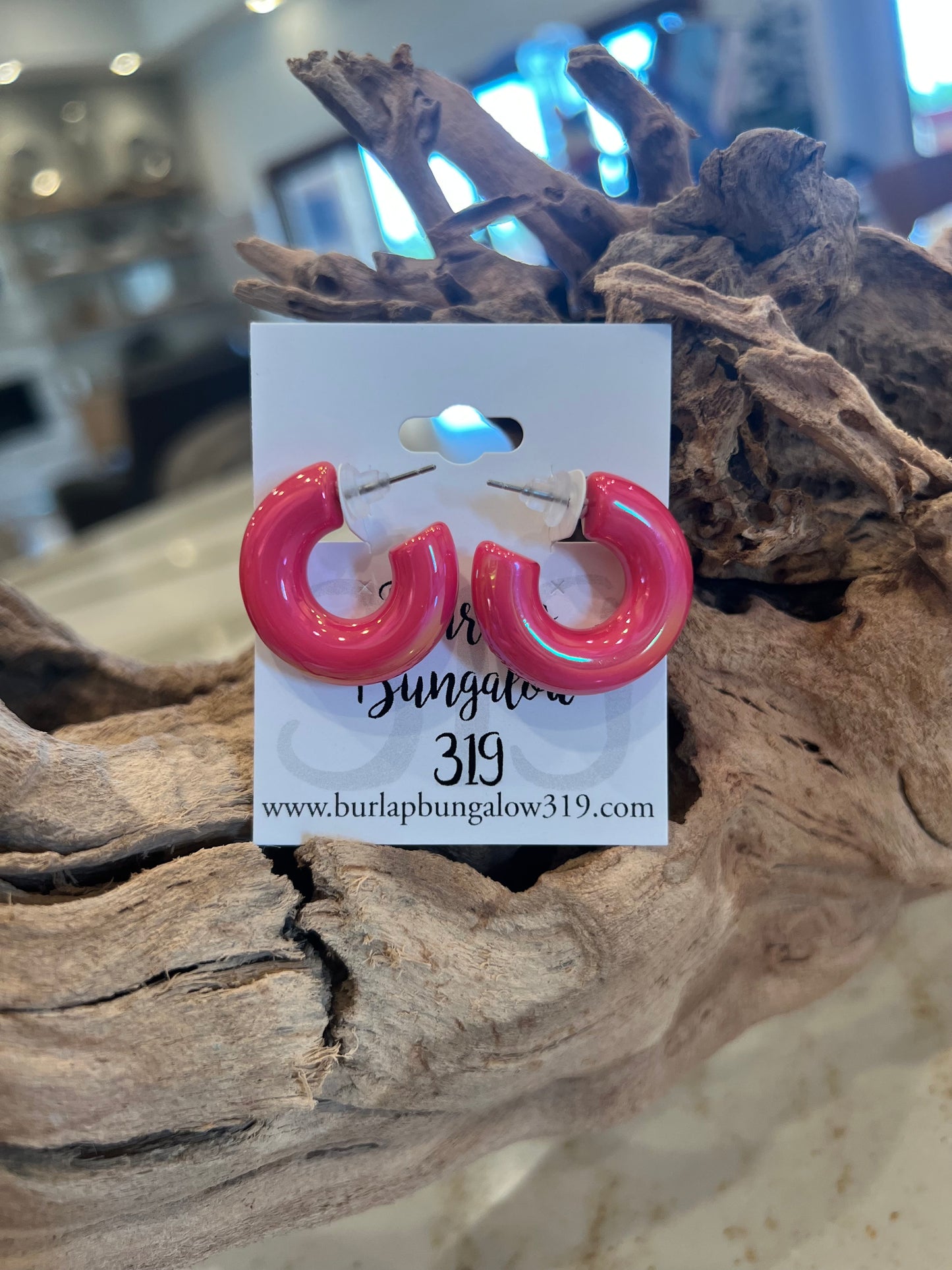 Chubby Iridescent Hoop Earrings