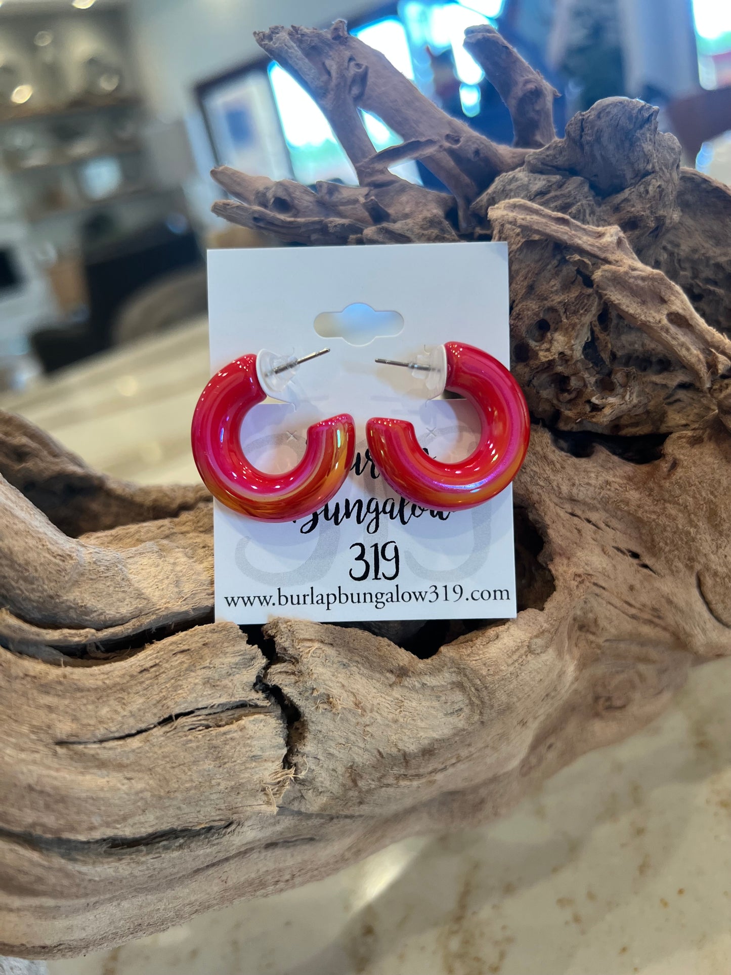 Chubby Iridescent Hoop Earrings