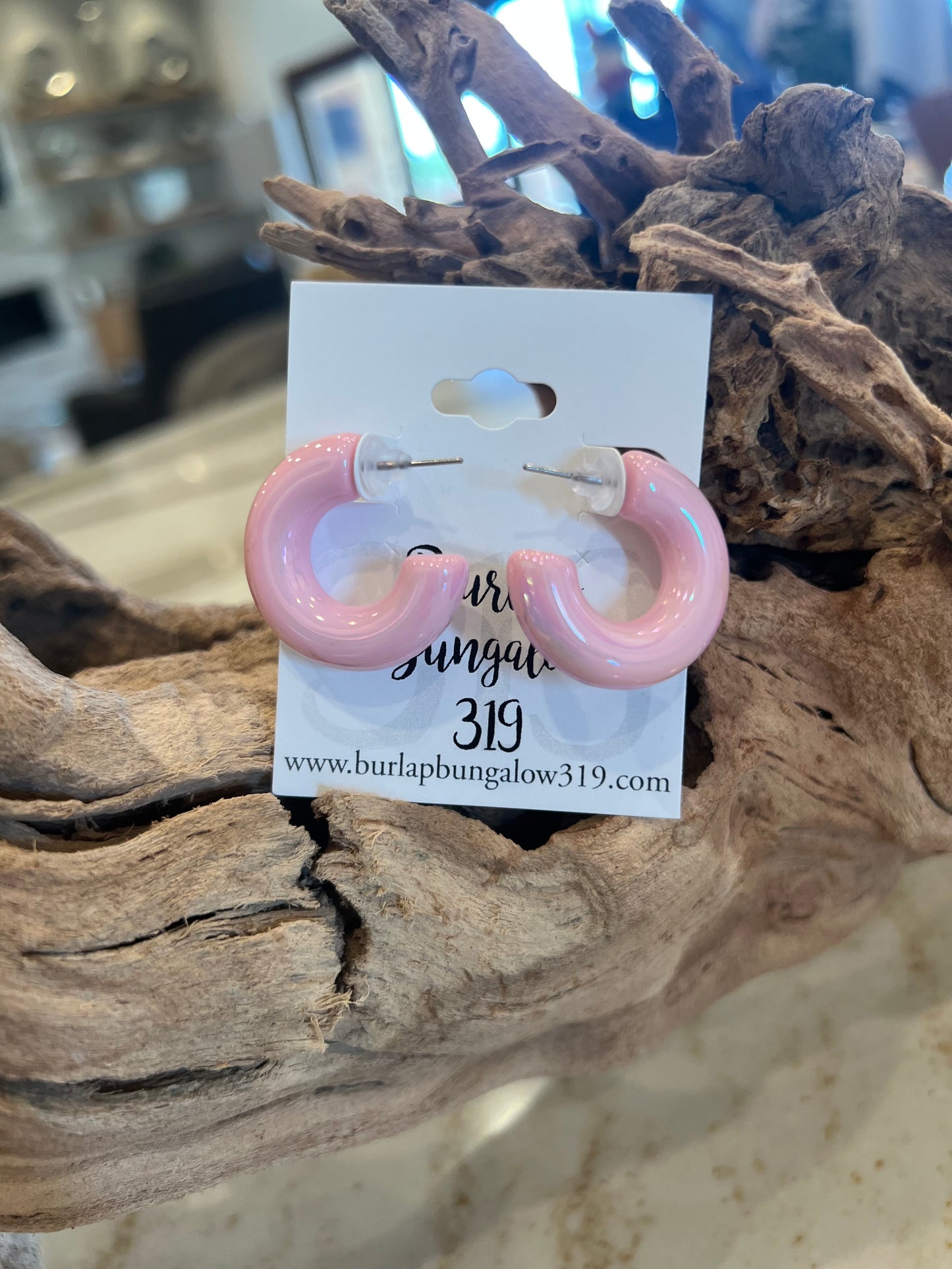 Chubby Iridescent Hoop Earrings