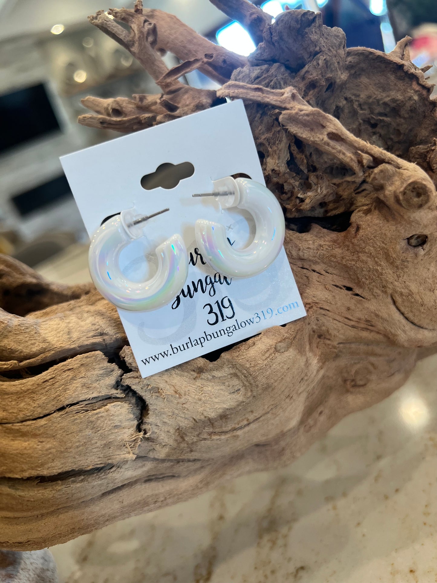 Chubby Iridescent Hoop Earrings
