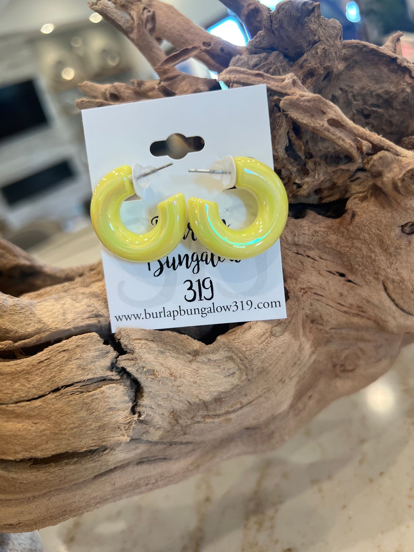 Chubby Iridescent Hoop Earrings