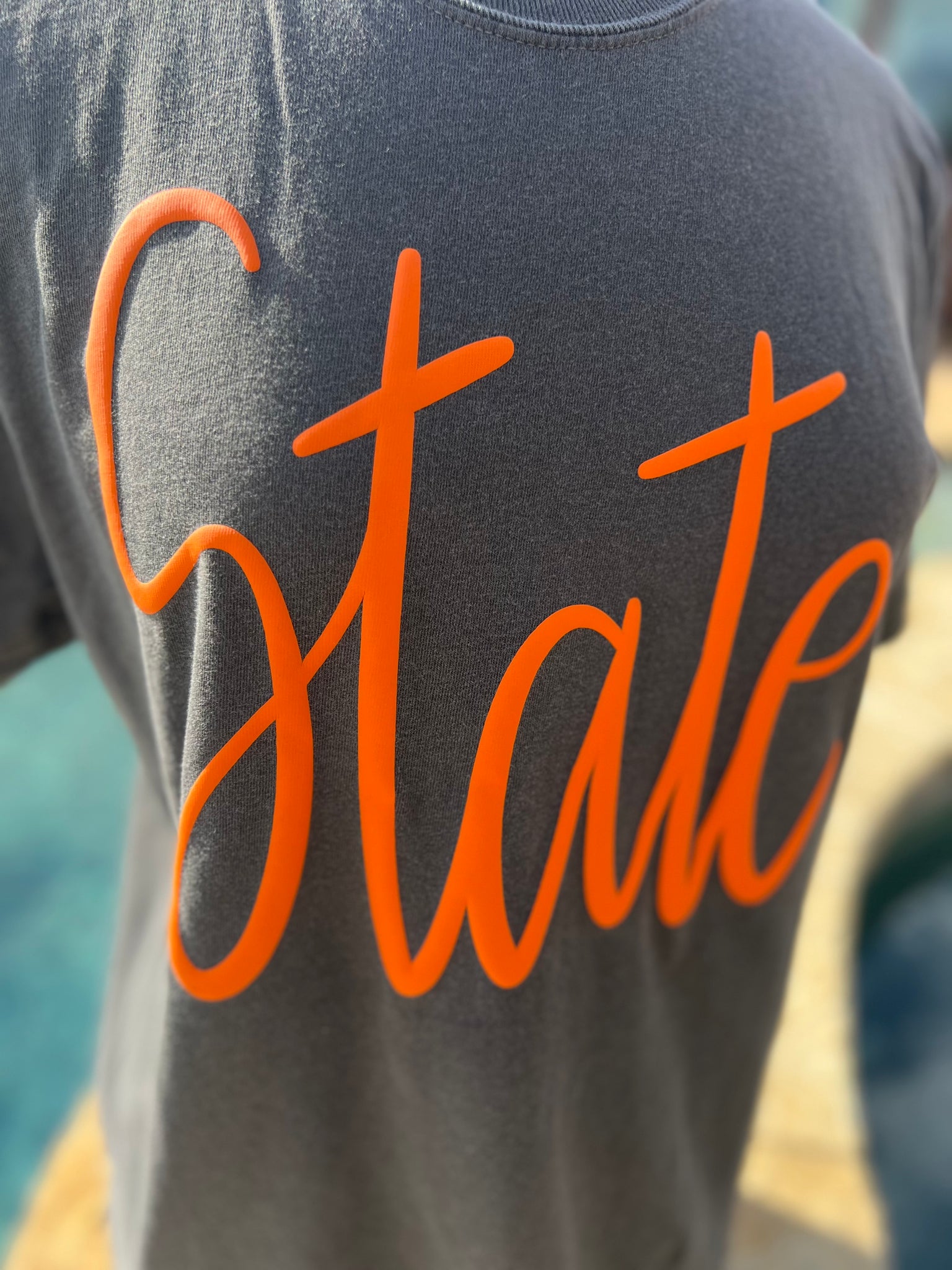 Jumbo Script State Graphic Tee